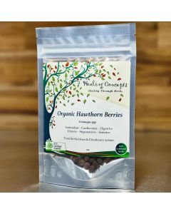 Healing Concepts Organic Hawthorn Berries Tea