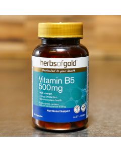 Herbs of Gold Vitamin B5 500mg