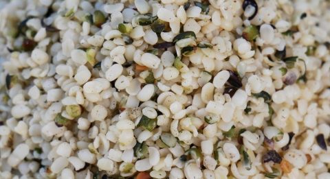 Hemp Seeds