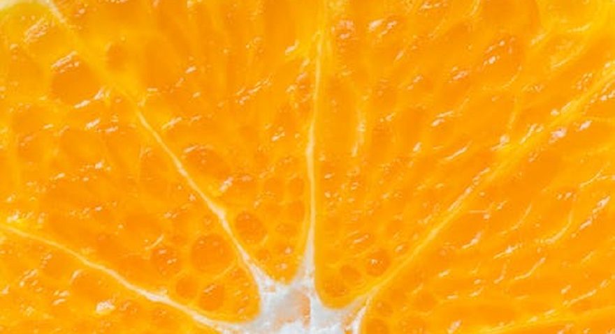 close up image of an orange